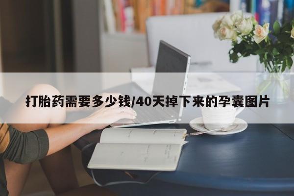 网上米非司酮在线下单微信打胎药需要多少钱/40天掉下来的孕囊图片